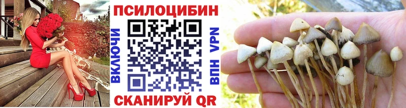 Галлюциногенные грибы Cubensis  цена наркотик  Петухово 